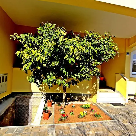 Appartement Vid *